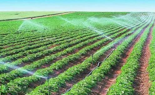污操逼视频农田高 效节水灌溉